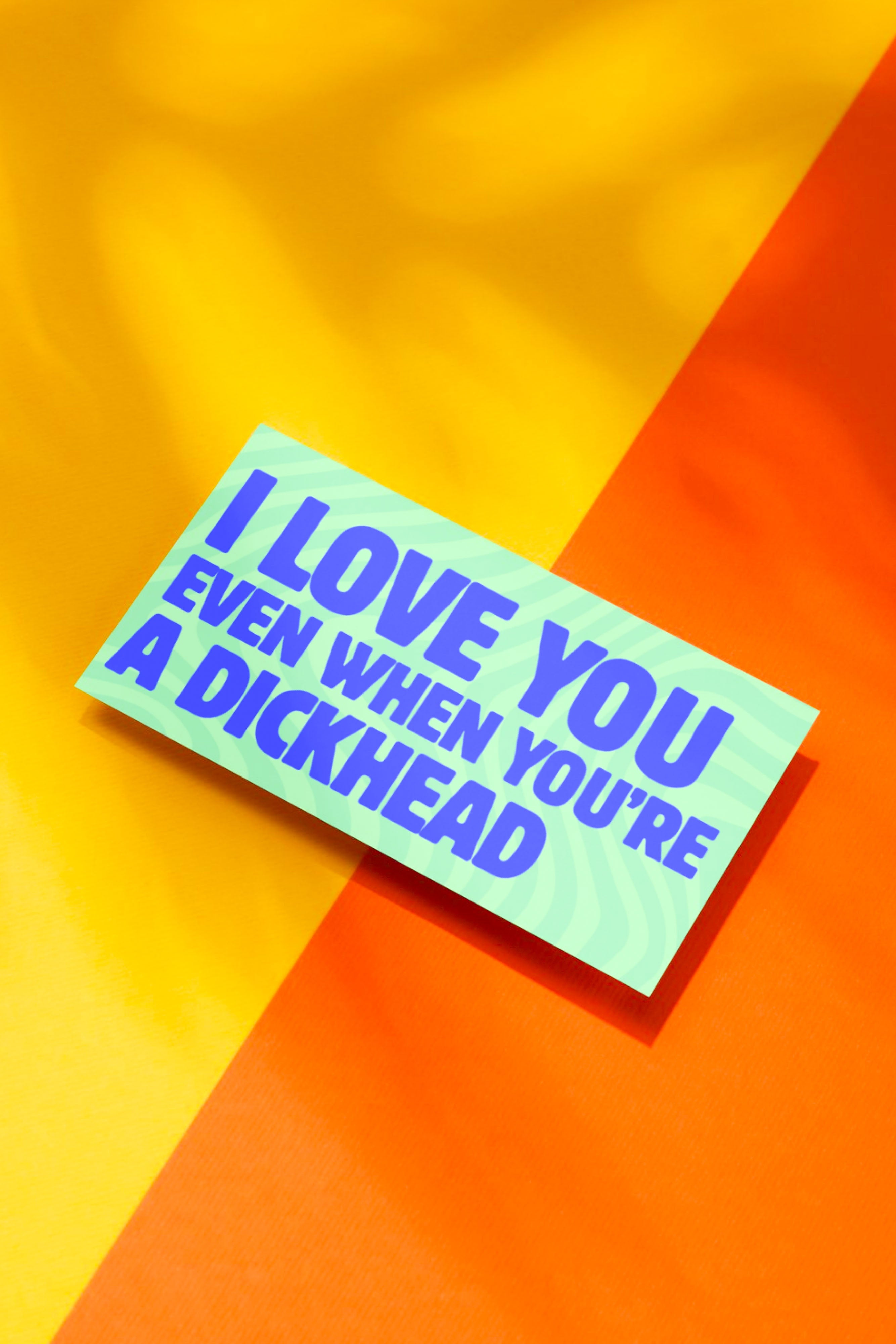 I LOVE YOU EVEN WHEN YOU'RE A DICKHEAD